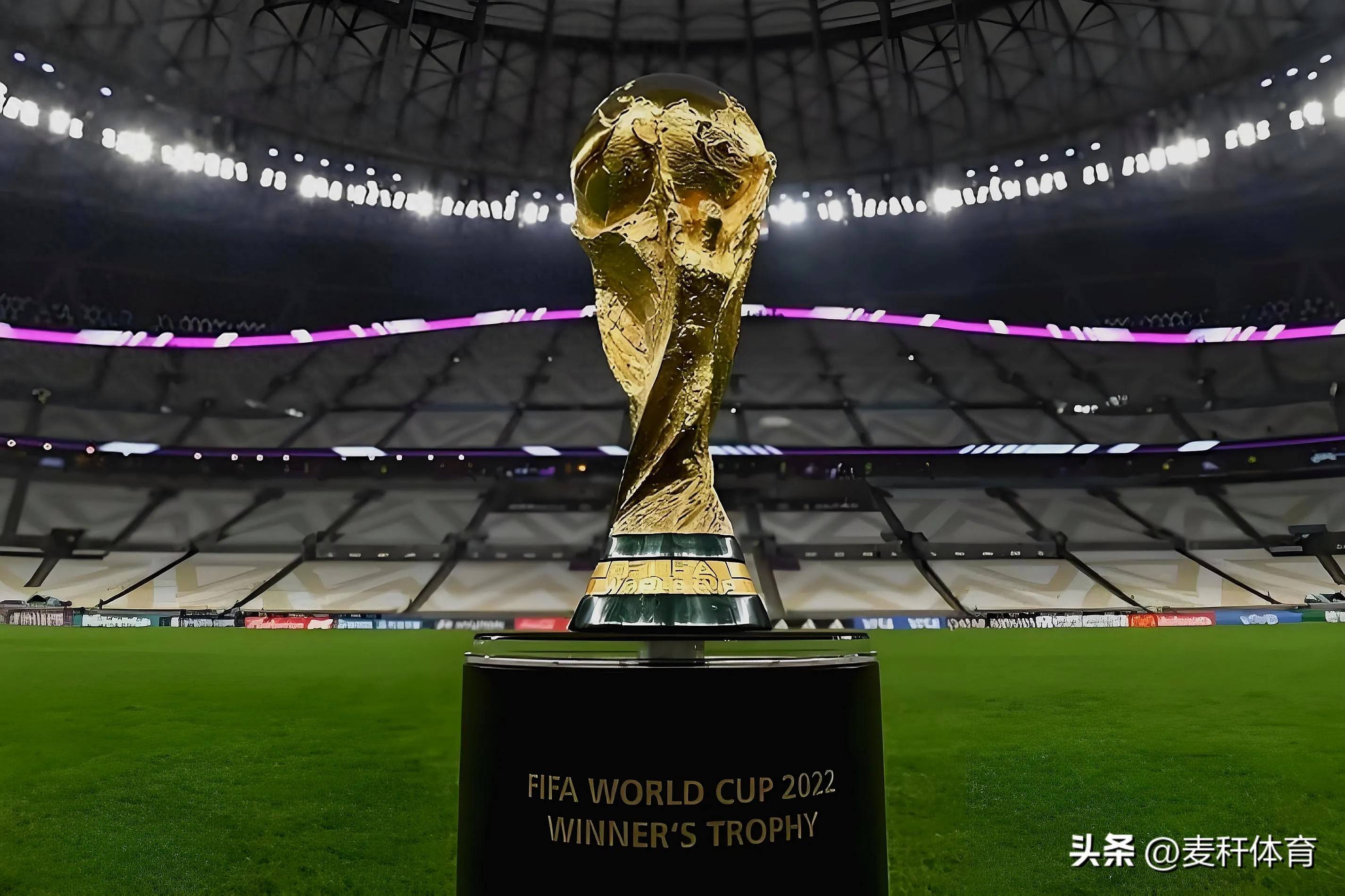 两位选手排 两位选手排