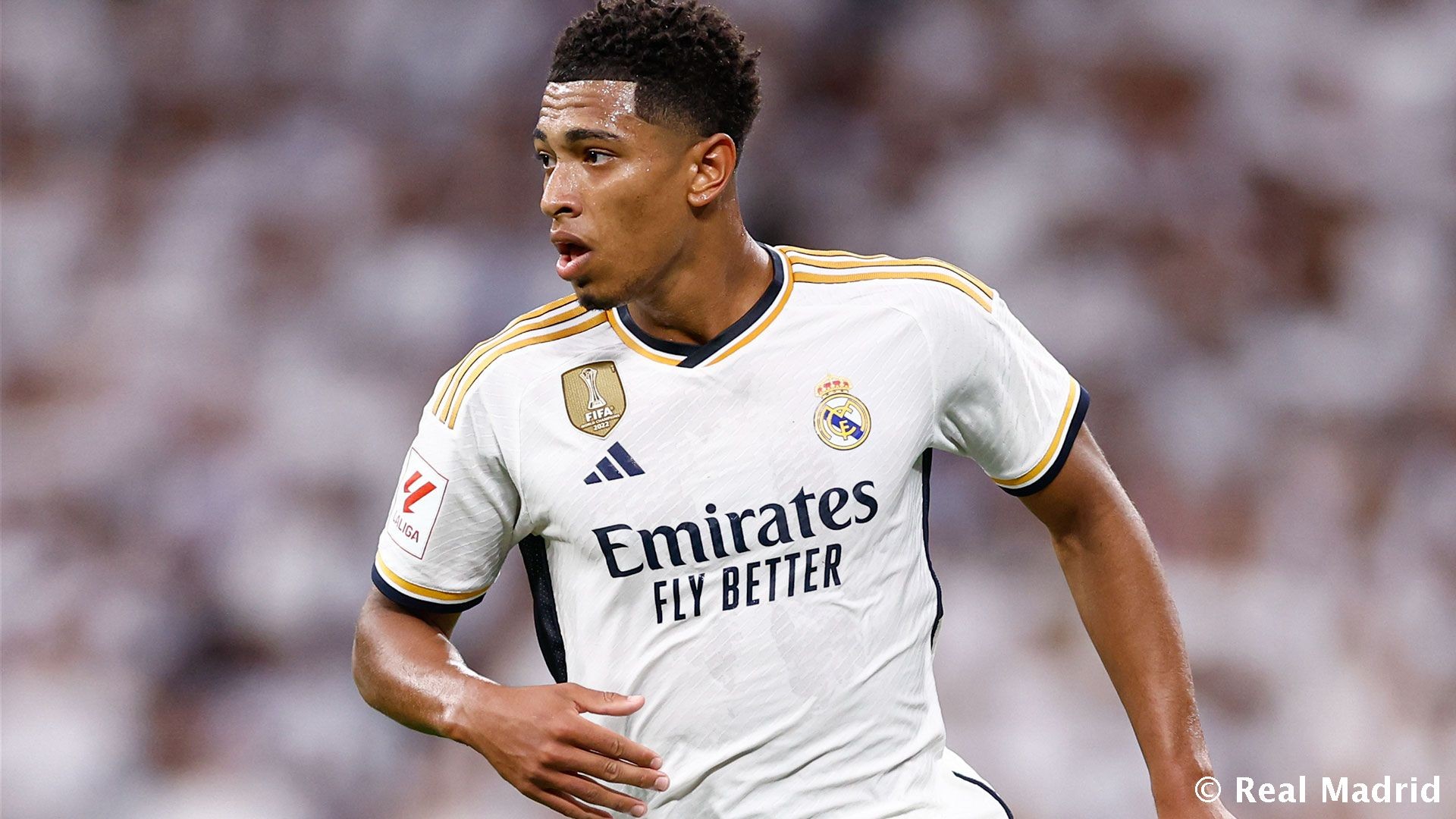 不如关注官 不如关注官